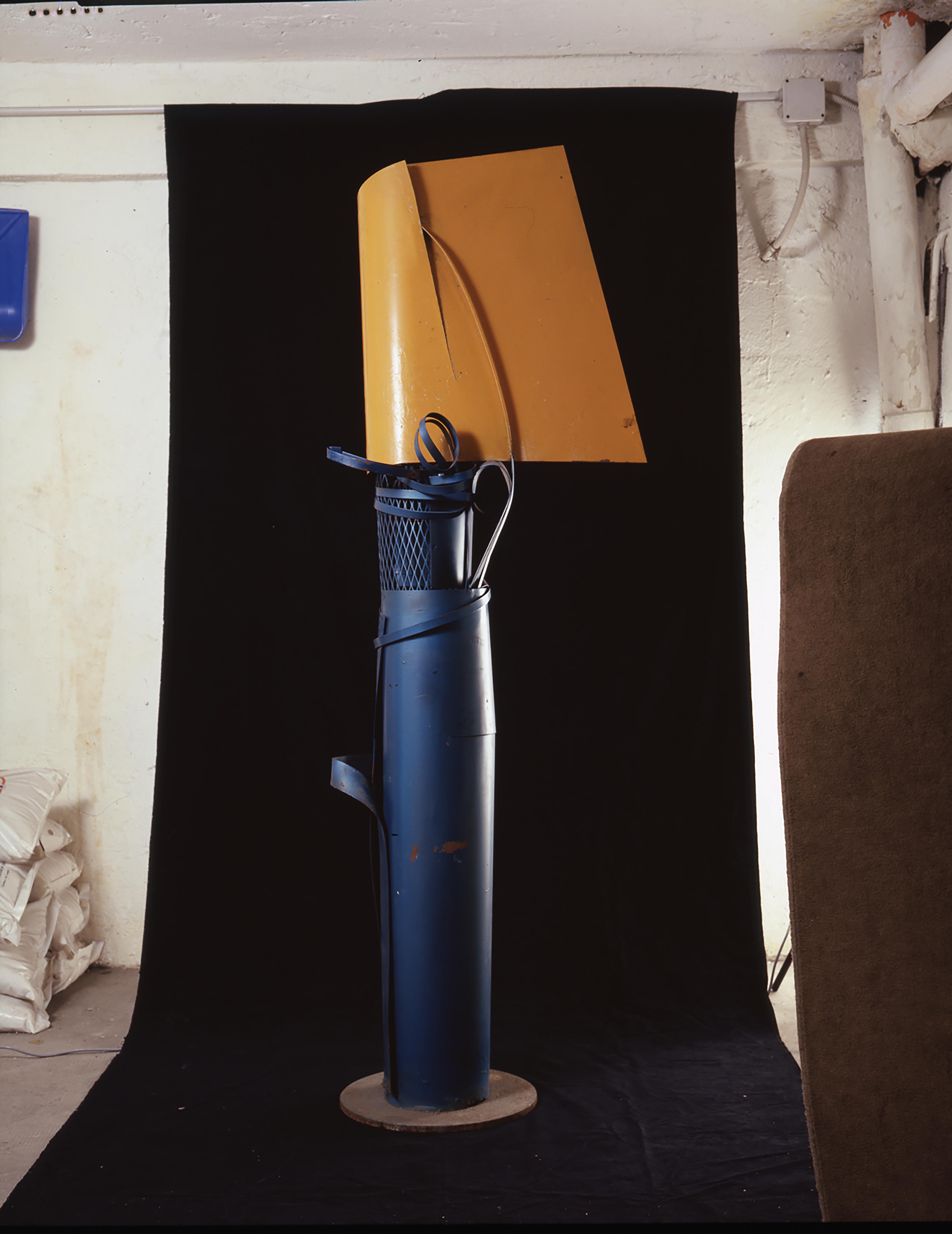 Franco Garelli, Struttura primaria, 1966